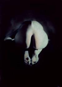 Figura, 2001 / 2005 - Pigmenti colorati su stampa fotografica B/N