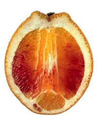 Arancia, 1973